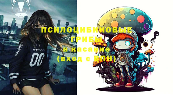 дживик Вяземский