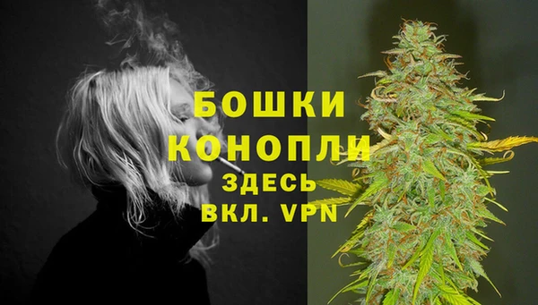 дживик Вяземский